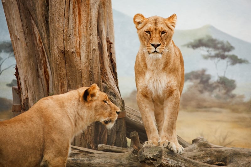 Prehistoric Safaris